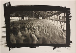 Image description is not available for 2023.047